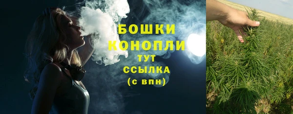 прущие грибы Арсеньев
