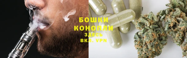 прущие грибы Арсеньев