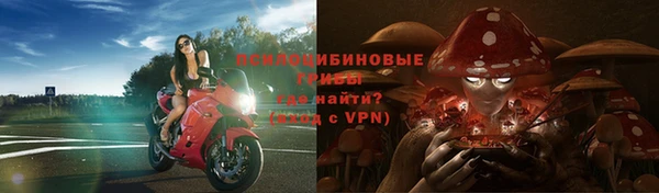 прущие грибы Арсеньев