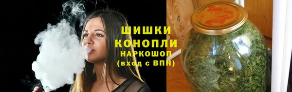прущие грибы Арсеньев