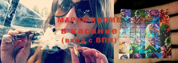 прущие грибы Арсеньев